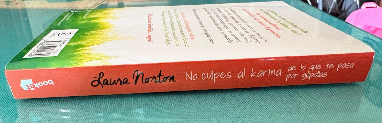 Don't Blame Karma for What Happens to You Because You're an Idiot | Laura Norton | Very Good Condition – photo 4